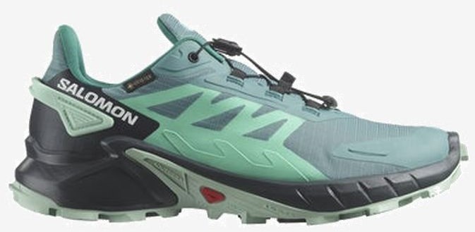 Salomon gtx hot sale 39